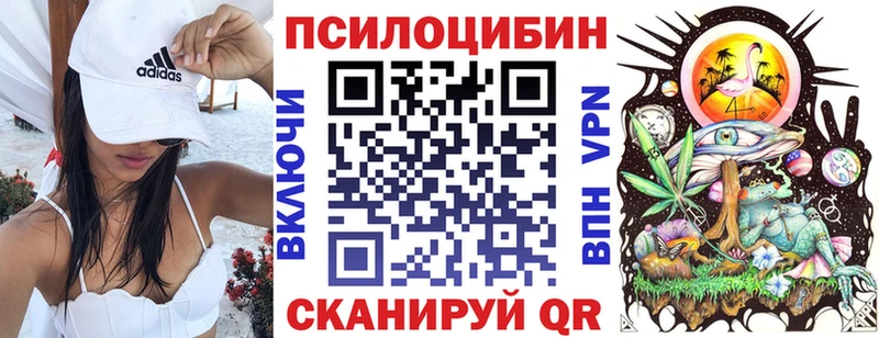Купить  Ленинск  Галлюциногенные грибы MAGIC MUSHROOMS 